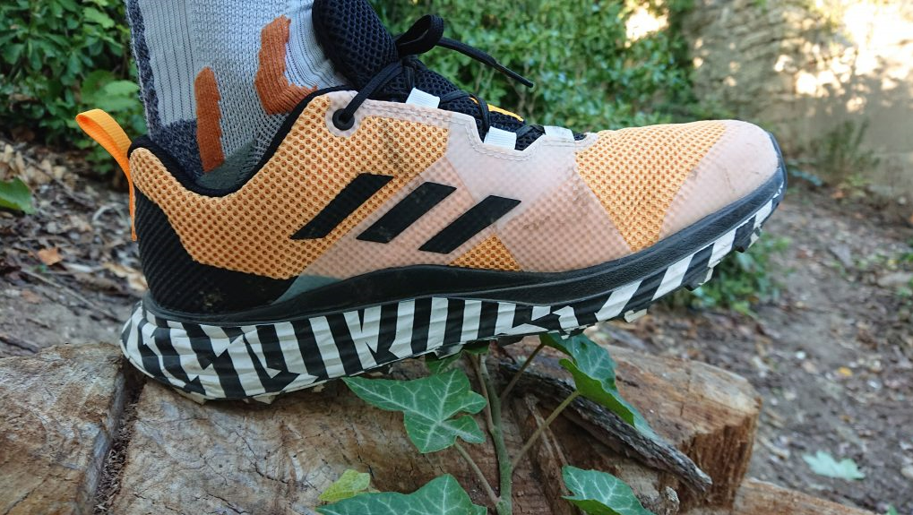 Foto de las zapatillas de trail adidas Terrex Two 